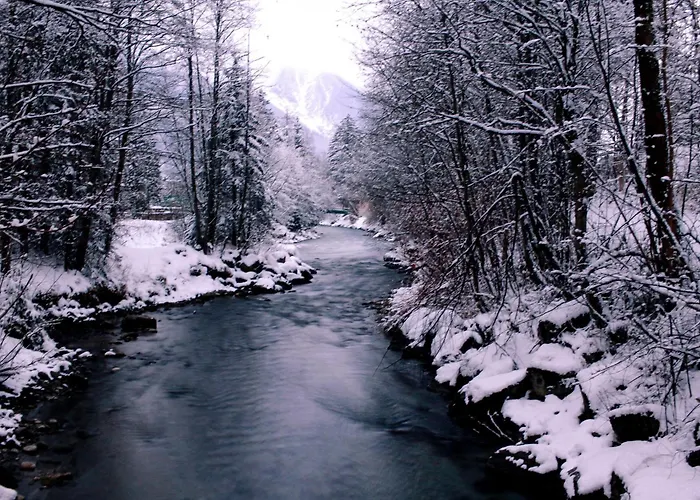 Apartamento Cozy Alpine Sejour Cosy Au Centre *