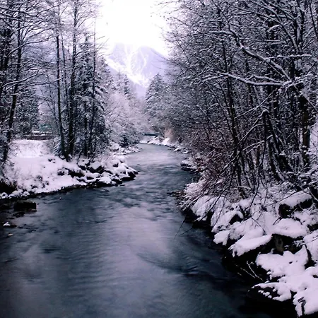 Apartman Cozy Alpine Sejour Cosy Au Centre *