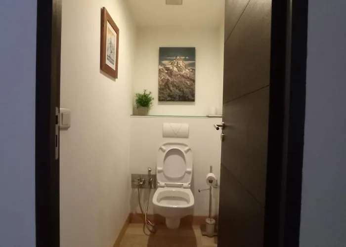 Apartamento Cozy Alpine Cosy Au Centre Chamonix Mont Blanc